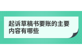 蚌埠为什么选择专业追讨公司来处理您的债务纠纷？